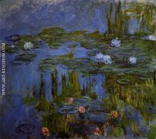 Water Lilies 50