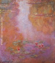 Water Lilies 20