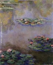 Water Lilies 3