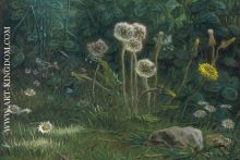 Dandelions, pastel on tan wove paper