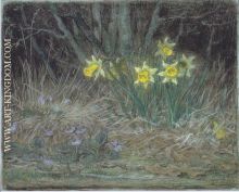 Daffodils and violets