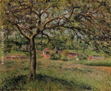 Apple Tree at Eragny