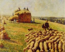 Flock of Sheep in a Field after the Harvest