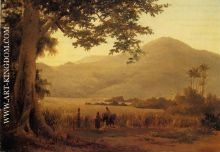 Antillian Landscape, St. Thomas
