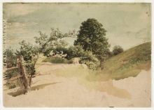 Landscape with Fence