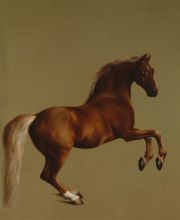 Whistlejacket